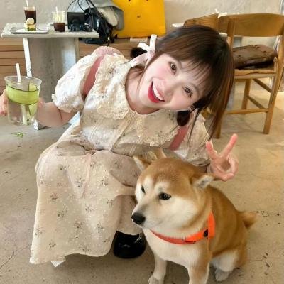 红绿灯