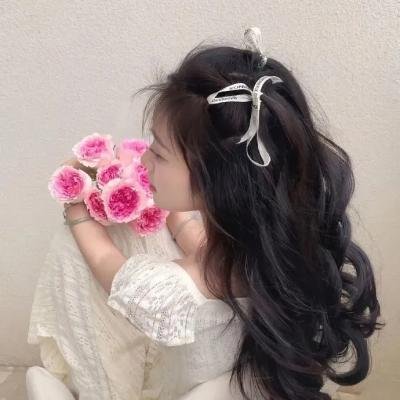 狗狗监护权